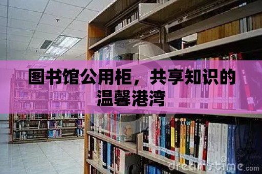 圖書館公用柜，共享知識的溫馨港灣