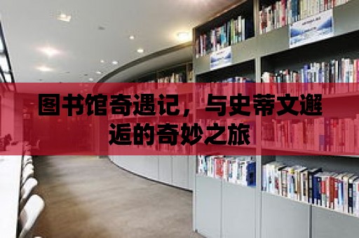 圖書館奇遇記，與史蒂文邂逅的奇妙之旅