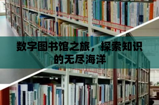 數(shù)字圖書館之旅，探索知識的無盡海洋