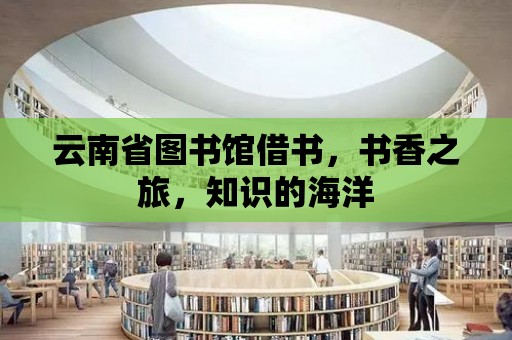 云南省圖書館借書，書香之旅，知識的海洋