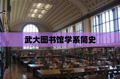 武大圖書館學系簡史