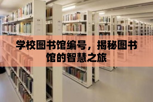 學校圖書館編號，揭秘圖書館的智慧之旅