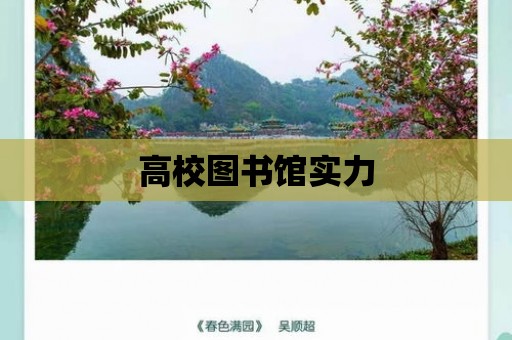 高校圖書館實力