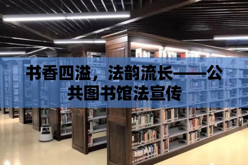 書香四溢，法韻流長——公共圖書館法宣傳