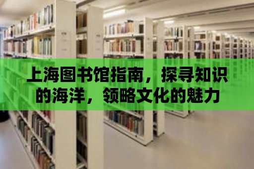 上海圖書館指南，探尋知識的海洋，領略文化的魅力