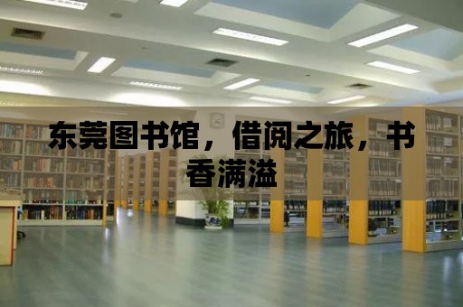 東莞圖書館，借閱之旅，書香滿溢