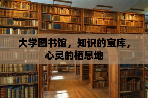 大學圖書館，知識的寶庫，心靈的棲息地