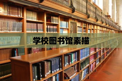 學(xué)校圖書館素描