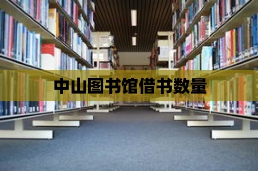 中山圖書館借書數量