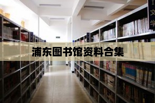 浦東圖書館資料合集