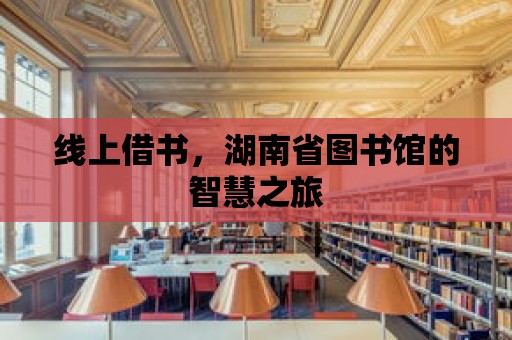 線上借書，湖南省圖書館的智慧之旅