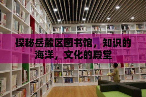 探秘岳麓區圖書館，知識的海洋，文化的殿堂