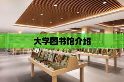 大學圖書館介紹