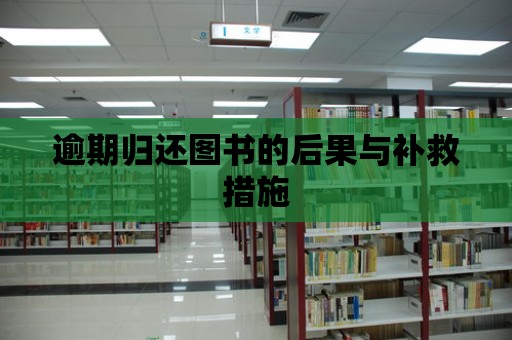 逾期歸還圖書的后果與補(bǔ)救措施