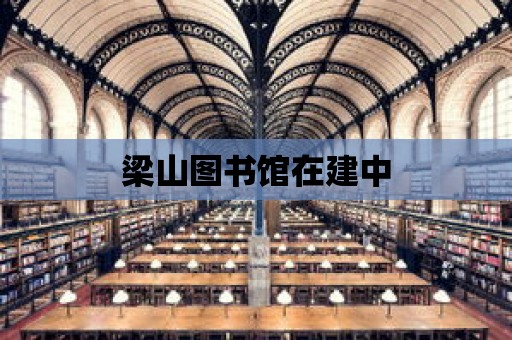 梁山圖書館在建中