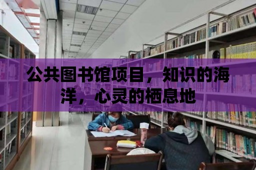 公共圖書館項目，知識的海洋，心靈的棲息地