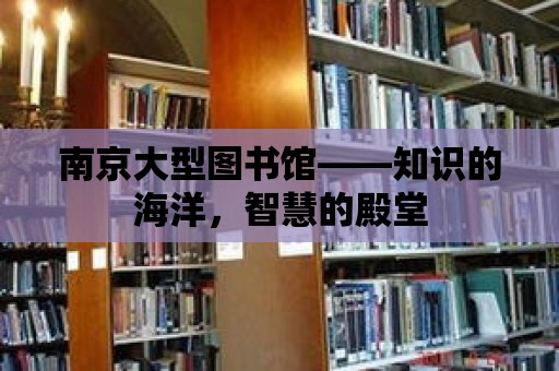 南京大型圖書館——知識的海洋，智慧的殿堂