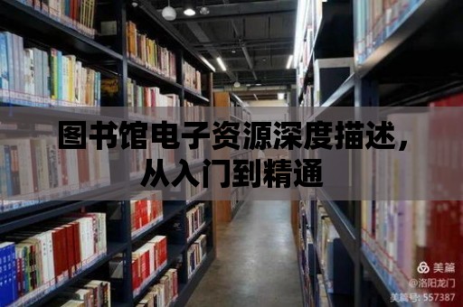 圖書館電子資源深度描述，從入門到精通