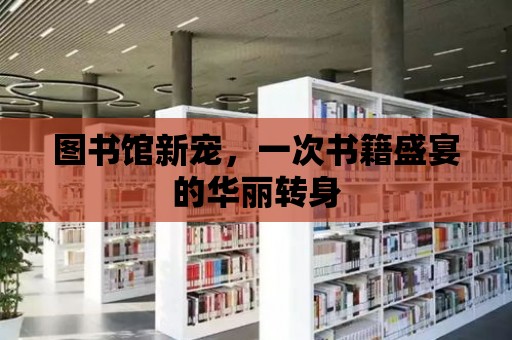 圖書館新寵，一次書籍盛宴的華麗轉身