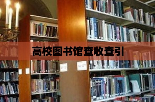 高校圖書館查收查引