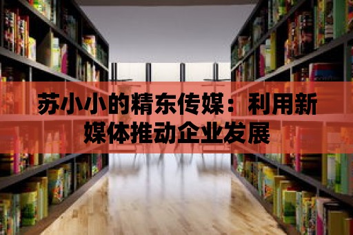 蘇小小的精東傳媒：利用新媒體推動企業發展