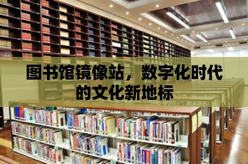 圖書館鏡像站，數字化時代的文化新地標