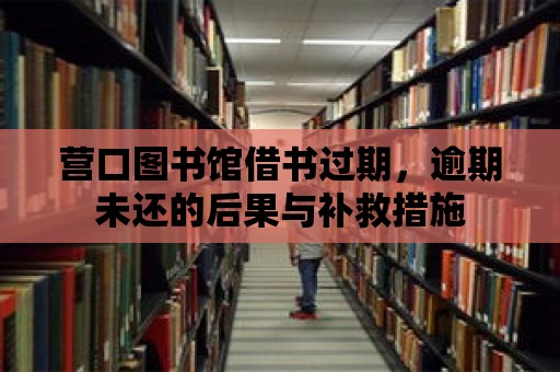 營口圖書館借書過期，逾期未還的后果與補救措施