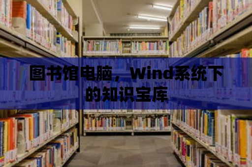 圖書館電腦，Wind系統(tǒng)下的知識寶庫