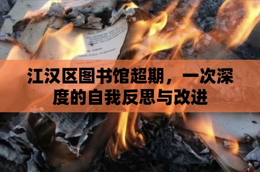 江漢區圖書館超期，一次深度的自我反思與改進