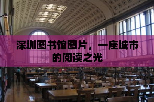 深圳圖書館圖片，一座城市的閱讀之光