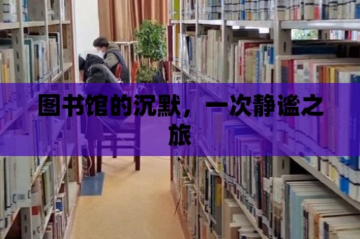 圖書館的沉默，一次靜謐之旅