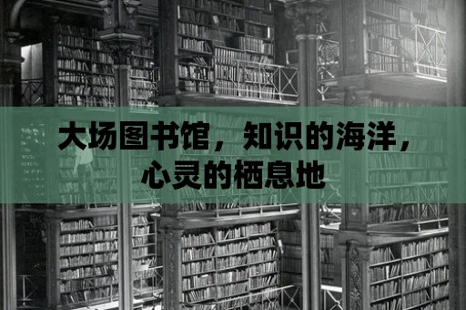 大場圖書館，知識的海洋，心靈的棲息地