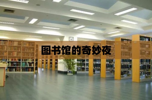 圖書館的奇妙夜