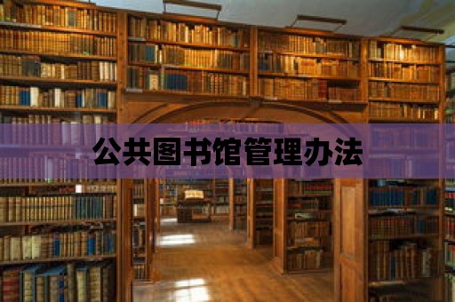 公共圖書館管理辦法