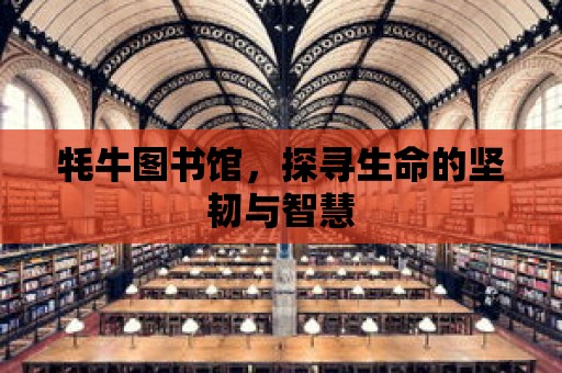 牦牛圖書館，探尋生命的堅韌與智慧