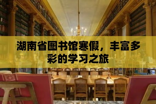 湖南省圖書館寒假，豐富多彩的學習之旅