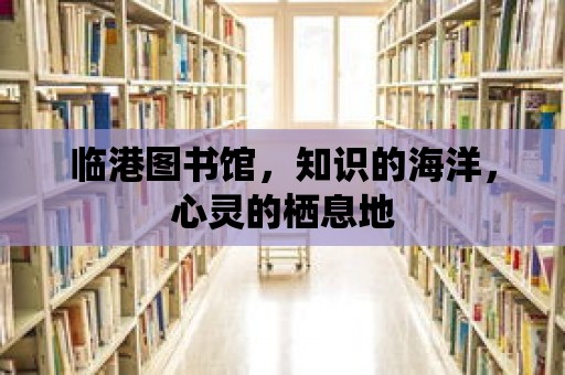 臨港圖書館，知識的海洋，心靈的棲息地