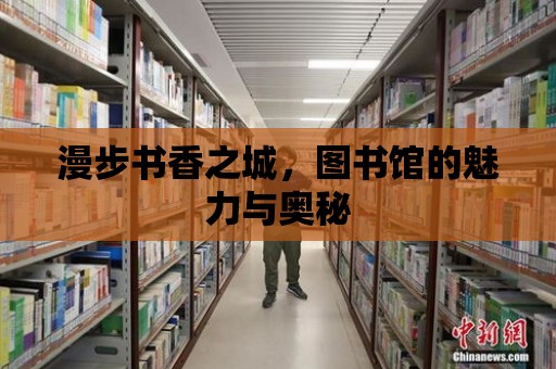 漫步書香之城，圖書館的魅力與奧秘