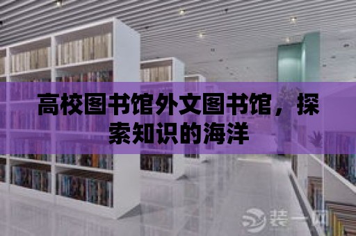 高校圖書館外文圖書館，探索知識的海洋