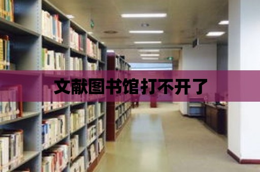 文獻圖書館打不開了