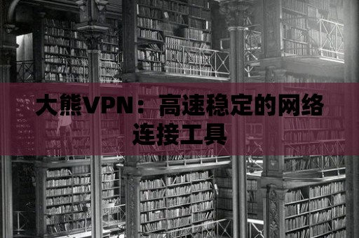 大熊VPN：高速穩(wěn)定的網(wǎng)絡(luò)連接工具