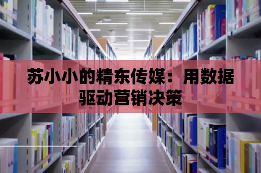 蘇小小的精東傳媒：用數據驅動營銷決策