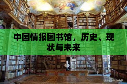 中國情報圖書館，歷史、現狀與未來