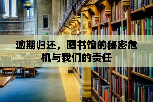 逾期歸還，圖書館的秘密危機(jī)與我們的責(zé)任