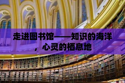 走進圖書館——知識的海洋，心靈的棲息地