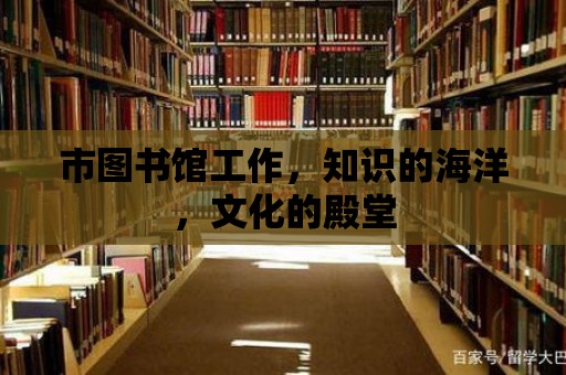 市圖書館工作，知識(shí)的海洋，文化的殿堂