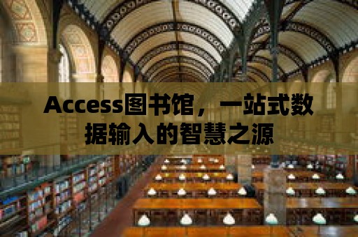 Access圖書館，一站式數據輸入的智慧之源