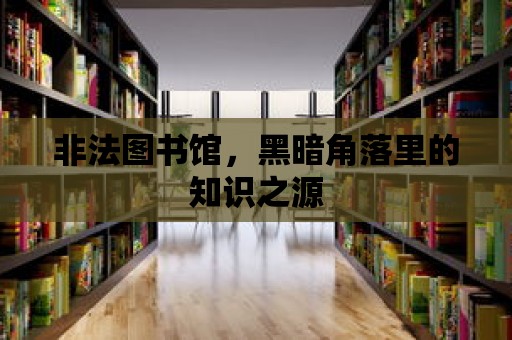 非法圖書館，黑暗角落里的知識之源