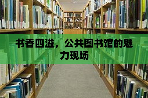 書香四溢，公共圖書館的魅力現場