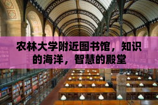 農林大學附近圖書館，知識的海洋，智慧的殿堂